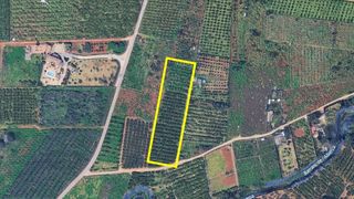 Terreny residencial a El Palmar - Los Molinos