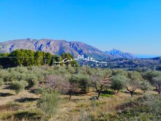 Finca rústica a Benifato. En venta gran terreno rústico de más de 10.000m2 con maravillosa