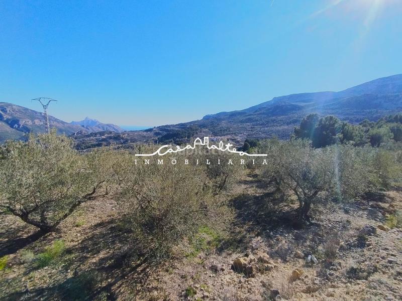 Foto 30c594d0-baa8-46a9-8d4f-d14373f0ab86. Finca rústica a Benifato