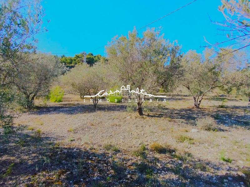 Foto 7e700857-7014-4b7f-9621-8891e6133a09. Finca rústica a Benifato