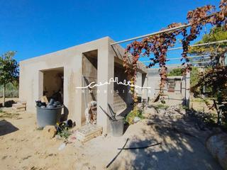 Finca rústica a L´Olla. Se vende terreno rústico en partida la pila, altea