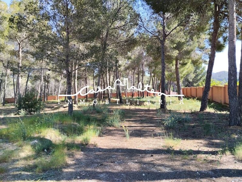 Foto f04d8d53-1e8e-4432-9990-8acec6d806b1. Masia amb aparcament piscina a Altea la vella Altea