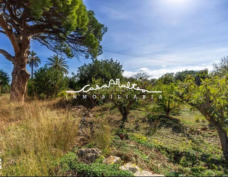 Foto 903b5a74-bfe7-4fbd-b7a5-b0c0adef8915. Finca rústica a Altea ciudad Altea