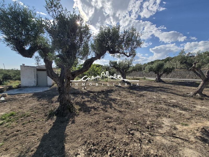 Foto a4496c5b-b384-4b82-b5d8-d78e1873b5b3. Finca rústica a Altea ciudad Altea