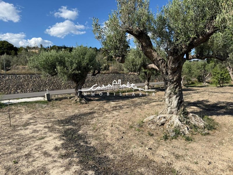 Foto df73e564-71a4-49a6-959c-ed96b7605e41. Finca rústica a Altea ciudad Altea