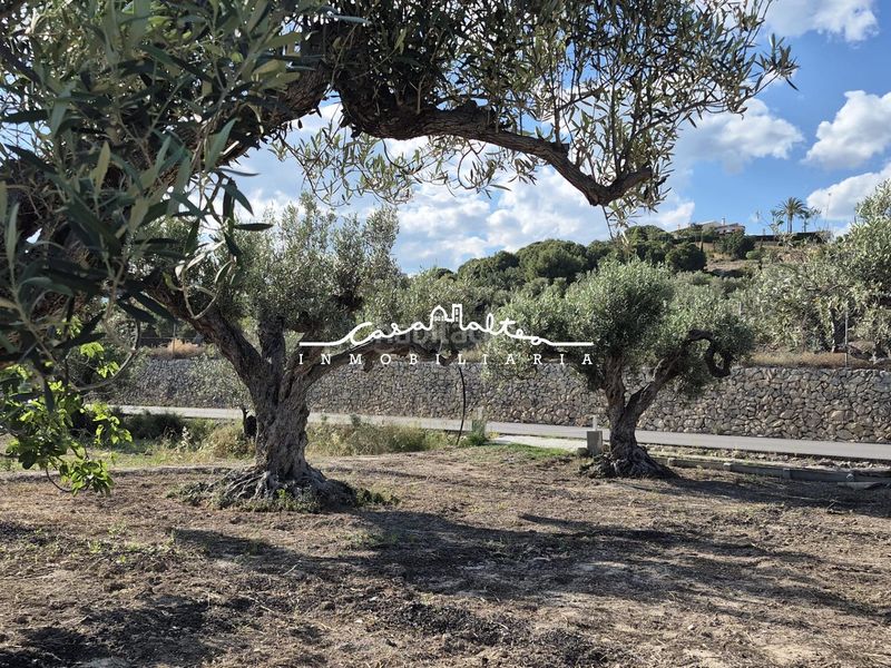 Foto e570307b-e0e5-495b-b702-f6b4c4b98870. Finca rústica a Altea ciudad Altea