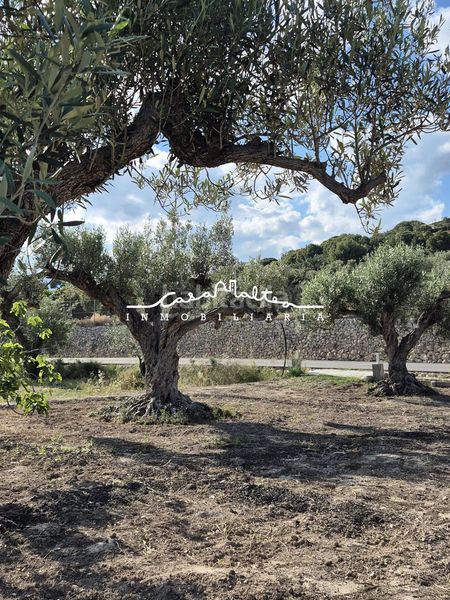 Foto ea498032-3e14-4386-9566-9c6bffa0dbfd. Finca rústica a Altea ciudad Altea