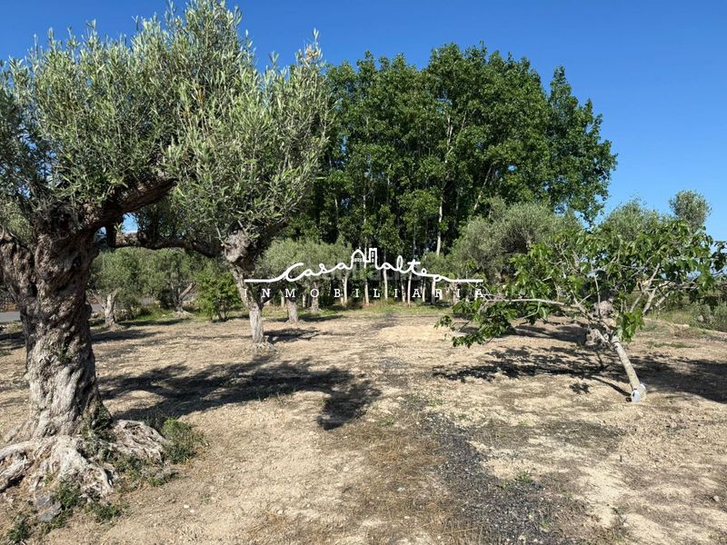 Foto f78a4859-decf-4240-93e7-0ac23c83d5f4. Finca rústica a Altea ciudad Altea