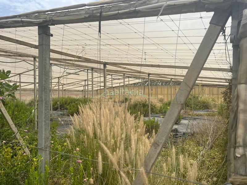 Foto 4acc0106-7260-45fc-9c34-b5ca715e78f0. Landgut in El Tossal-Bello Horizonte Nucia (la)