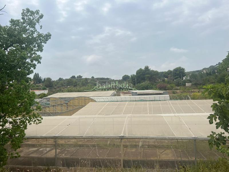 Foto 53167853-cf35-4308-8228-b37dd63ba13d. Landgut in El Tossal-Bello Horizonte Nucia (la)