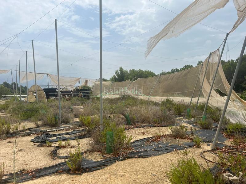 Foto 5542d566-c5e3-4e59-a342-a3c13a9bd7b4. Landgut in El Tossal-Bello Horizonte Nucia (la)