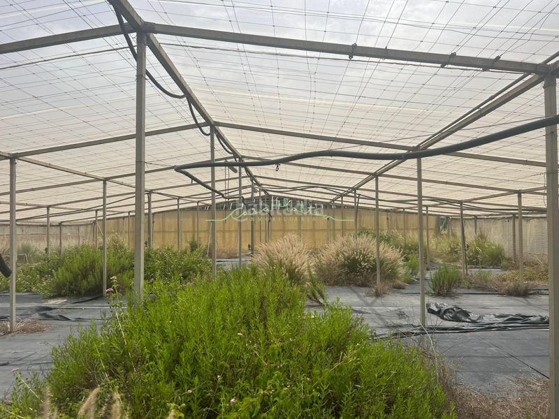 Foto 557efc74-6c3f-4c04-91c7-397be9eb31bb. Landgut in El Tossal-Bello Horizonte Nucia (la)