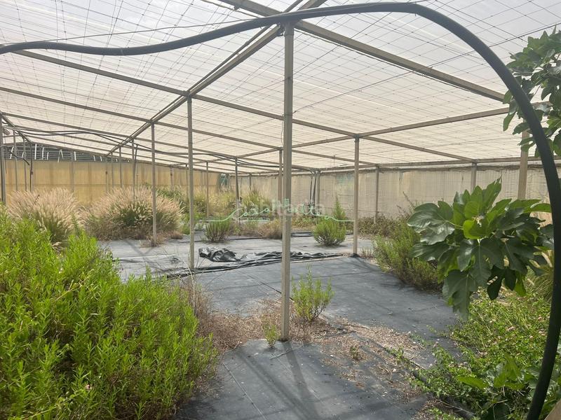 Foto 61f2bf37-2d66-439d-8e74-316d7c7144fc. Landgut in El Tossal-Bello Horizonte Nucia (la)