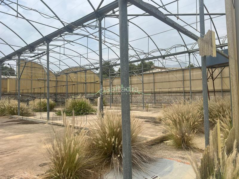 Foto 94fddf9e-bb35-4763-a971-1531bf6d3094. Landgut in El Tossal-Bello Horizonte Nucia (la)