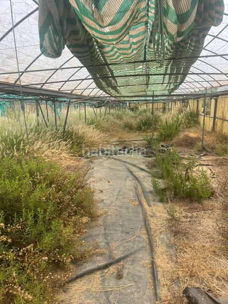 Foto b8158752-21df-4b95-a71e-4d1ca1263d93. Landgut in El Tossal-Bello Horizonte Nucia (la)