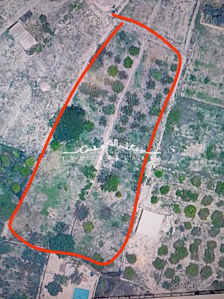 Foto 0188c7ef-b144-4117-9503-25785d2e1ecb. Fondo rustico in Altea ciudad Altea