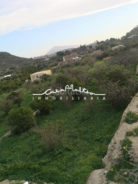 Foto bc801a16-e927-42c6-89c0-fec1574103fe. Fondo rustico in Altea ciudad Altea