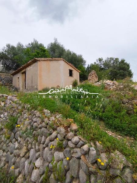 Foto 2c152e40-6a02-45ff-8c08-de39f2060380. Casa se vende casita de campo con terreno en callosa den sarria en Callosa d´en Sarrià