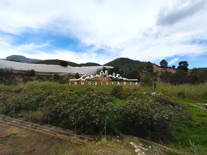 Foto f51419e8-82a5-4977-bd3a-608d6d975631. Casa se vende casita de campo con terreno en callosa den sarria en Callosa d´en Sarrià