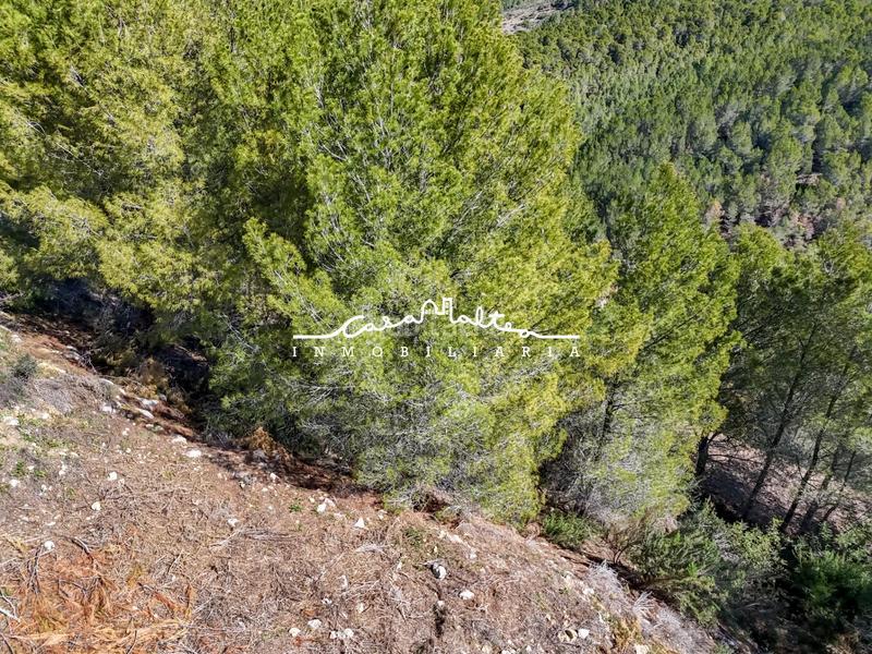 Foto 7296fc36-3b25-49ed-821d-4e759a71aa8d. Wohngrundstück in Altea la vella Altea