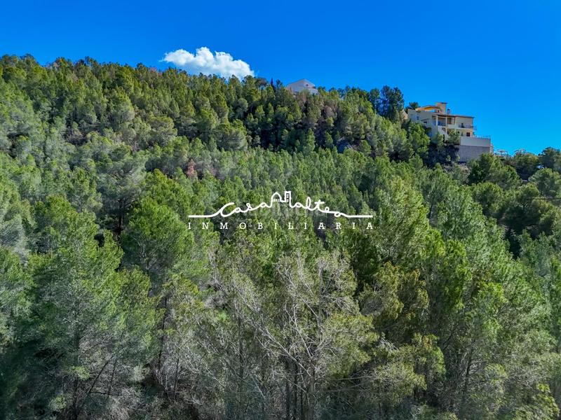 Foto b319624b-be82-44bb-8085-04cabce5177b. Terrain résidentiel dans Altea la vella Altea