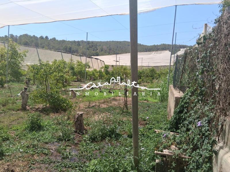 Foto 9e7ec6ea-3bfc-4e31-b398-df72430111bd. Fondo rustico in Altea la vella Altea