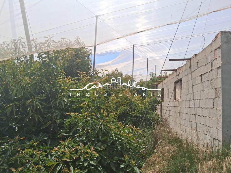 Foto e00fe676-1768-4124-9963-a381b9b45ed2. Fondo rustico in Altea la vella Altea