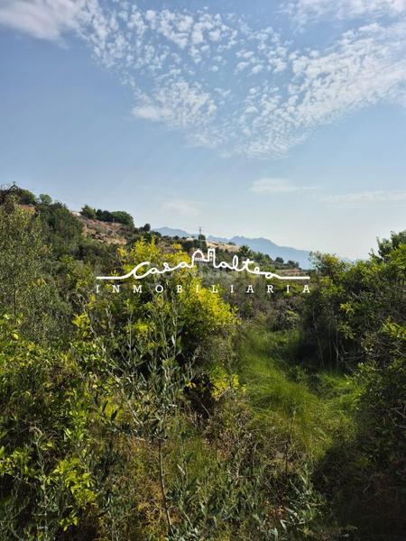 Foto 46633d23-b404-4aa2-a36e-1c2949204c40. Propriété dans carretera 760 1 dans La Nucia Pueblo Nucia (la)