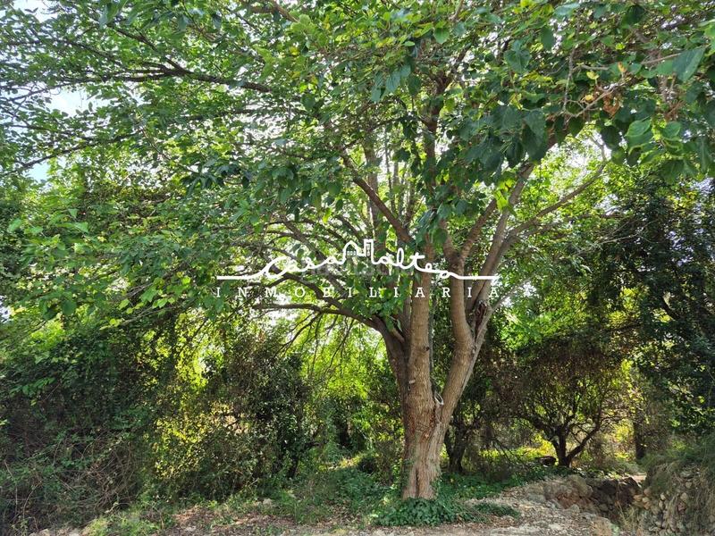 Foto fad177ee-c1e2-49b1-895e-b9fbe147b91c. Propriété dans carretera 760 1 dans La Nucia Pueblo Nucia (la)