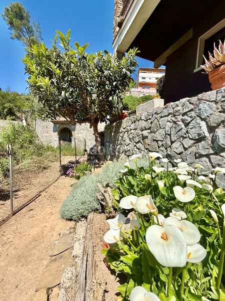 Foto e66150f0-1671-46a6-999e-6394ec5093fb. Casa amb xemeneia calefacció aparcament piscina a Torrelles de Llobregat