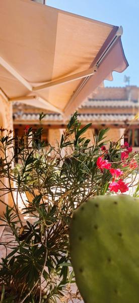 Foto 566c13bc-5ff4-4a7a-962f-66d7089f3a1d. Alquiler masía alquiler casa rústica - en Costitx