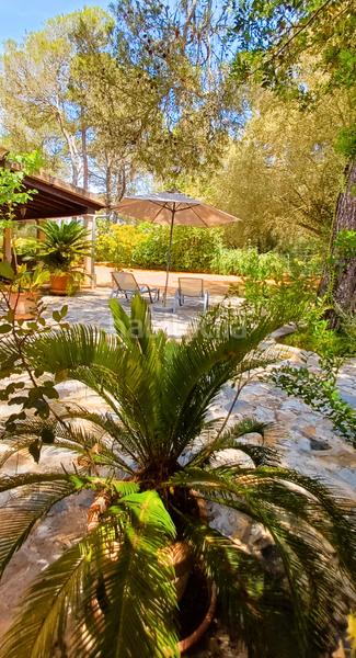 Foto 87367530-eae9-49a0-9d9a-d3a0a3ffea88. Miete bauernhof mit kamin heizung in Costitx