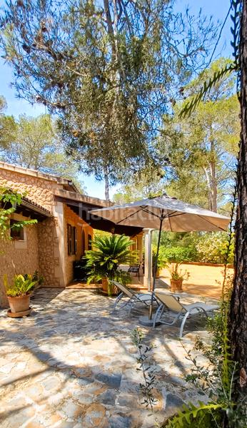 Foto 918918de-f862-4377-b168-68f1ca0b4ad8. Miete bauernhof mit kamin heizung in Costitx