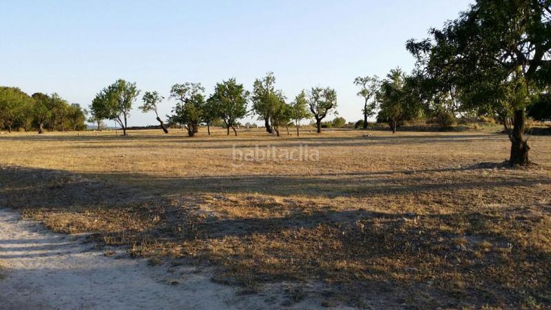 Foto a36a920f-8001-4c1a-9feb-3e23092e7e42. Residential plot in Sant Jaume d´Enveja