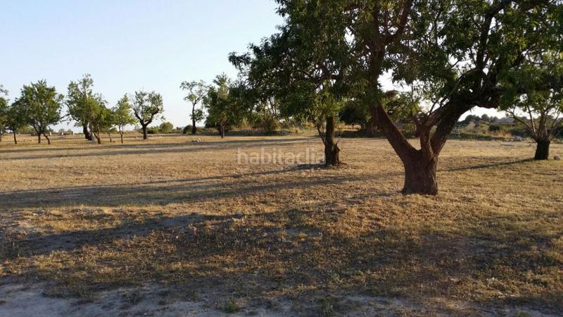 Foto db23ca71-d2ca-420e-9d58-03a67c0f08e4. Residential plot in Sant Jaume d´Enveja