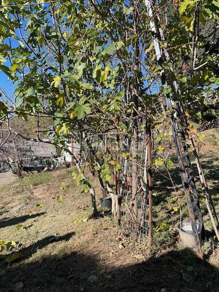 Foto ba9eedd1-1311-403d-becf-f8ad20158270. Country house with parking in Pontons