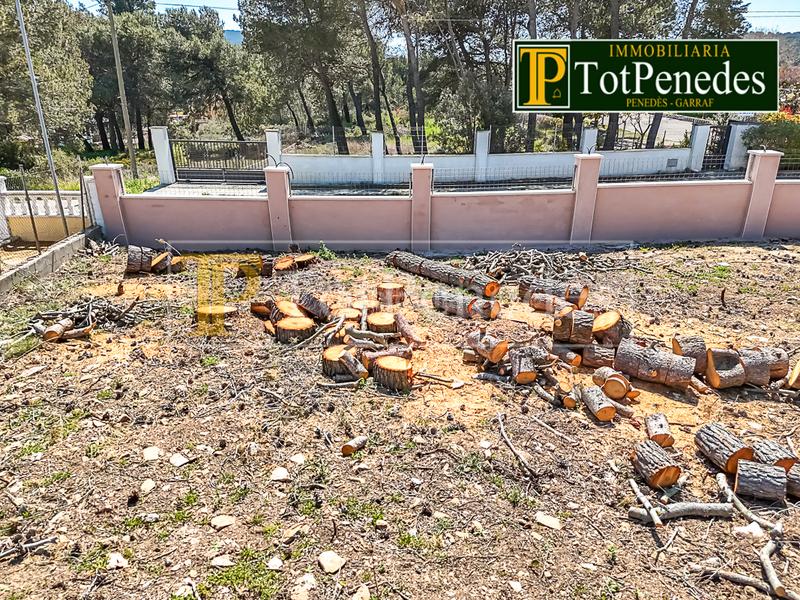 Foto 51ac40ee-a931-4a00-914e-fbf20954efaa. Terreno residencial en carrer caimada 685bi parcel·la en venda a mas bermell – en Querol