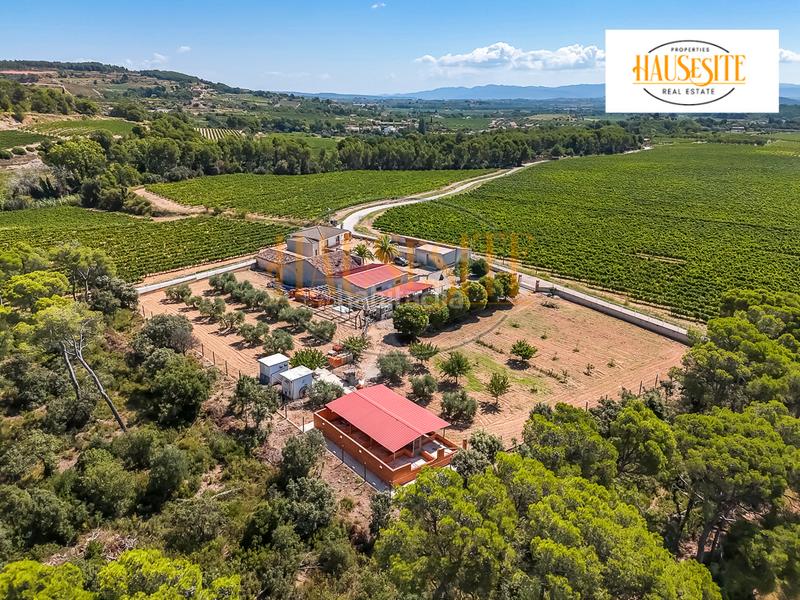 Foto 8ba14dfc-9276-4461-8f45-910dff9210b1. Masía en plaça de la vila 1 exclusiva masía rural con potencial turístico y de eventos en el penedès en Torrelles de Foix