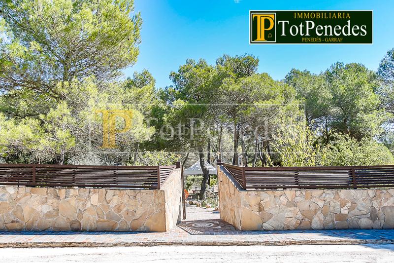 Foto 0c071787-276a-4b8d-a7b8-5503d17202a1. Terreny residencial a Querol