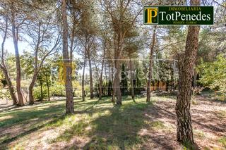 Residential Plot  Carrer david