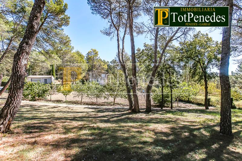 Foto 3d5b6f76-0ba6-41a5-bbe7-206a671e1f44. Terreny residencial a Querol