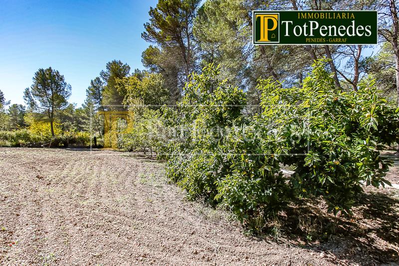 Foto 83739e20-442d-4b90-b331-73c06687c818. Terreny residencial a Querol