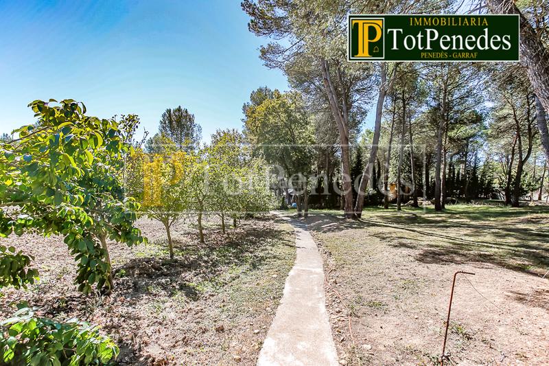 Foto 83d83c52-f779-4635-acef-7ca29c142803. Terreny residencial a Querol