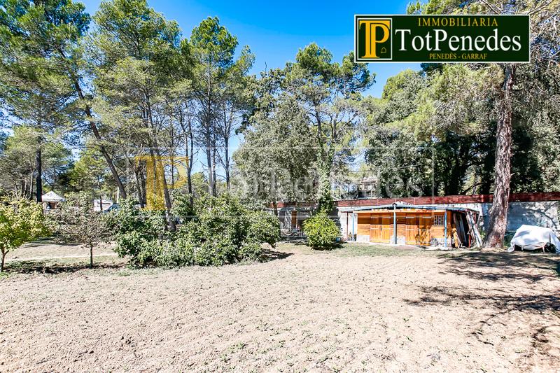 Foto 8feacc03-ffd4-4e4f-b450-43648fda341c. Terreny residencial a Querol