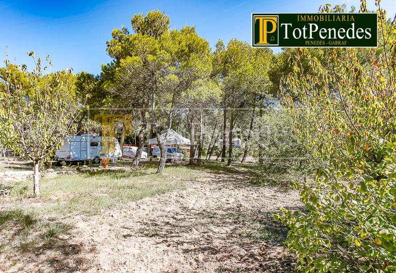 Foto 50c1d10c-b63e-4d67-b0fa-12bb09e5e6c5. Residential plot in Querol