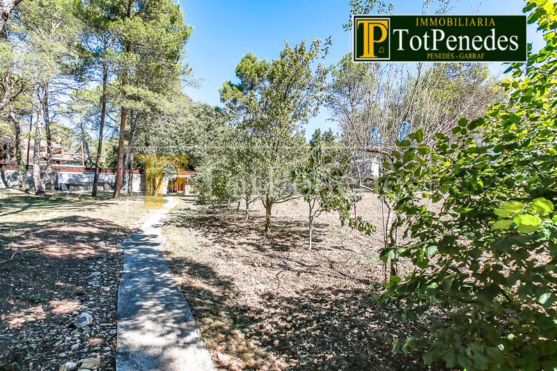 Foto 78daeffa-04bc-4c5b-b439-06574de3443e. Residential plot in Querol