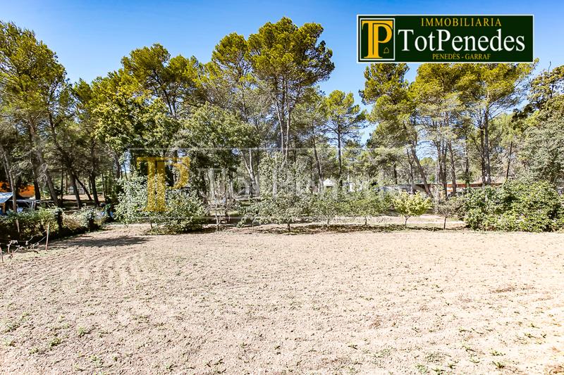 Foto 948484ab-48f7-463c-8389-09746779f6c1. Residential plot in Querol