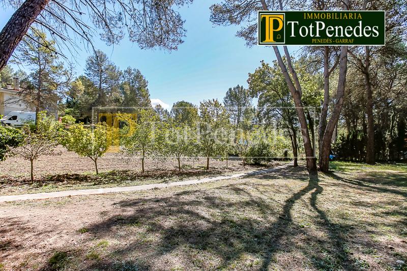 Foto b04e8d95-d7b2-4208-bc66-f3c3b5519b1c. Residential plot in Querol