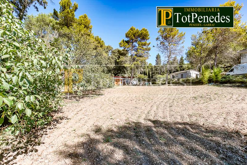 Foto cd92c10b-13b9-4c7e-a721-1758f7d11998. Residential plot in Querol