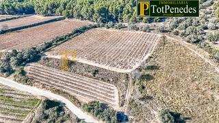 Landgut in Vial Camino 21